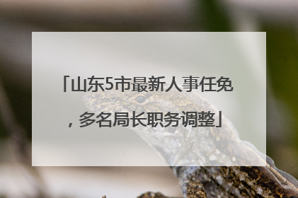 山东5市最新人事任免，多名局长职务调整